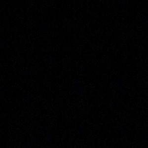 Meet your Posher, Maggie